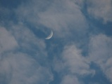 January Moon