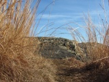 Winter Grass Pathway