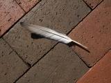 Quill on Brick