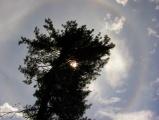 Sunbow and Evergreen