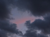 Rosy Outlook