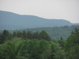 Mountain across Forest