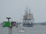 Constitution in the Harbor