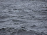 Storm Ripples