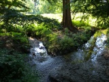 Stream at the Arboretum