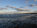 Shells on the Shore