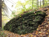 Rocks in Autumn
