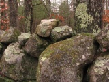 Mossy Boulders