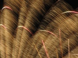 Fireworks Fronds