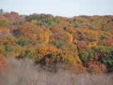 Changing Hillside