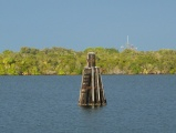 Green Shoreline