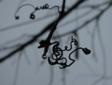 Tendrils in the Rain