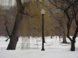 February in the Public Garden