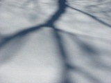 Shadow on Pristine Snow