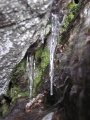 Canyon of Moss and Icicles
