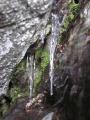Canyon of Moss and Icicles