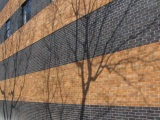 Shadows on Brickwork