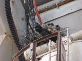 Steampunk Crows Nest