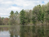 Lake in May