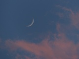 Crescent in Twilight