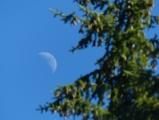 Idaho Moon
