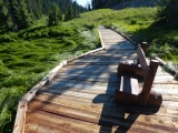 Boardwalk on a Sea of Grass