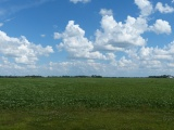 Ohio Fields