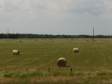 Haybales in North Texas