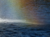 Rainbow on the Water