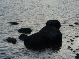 Rocks in Nahant Bay