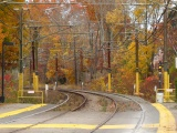 Autumn Tracks