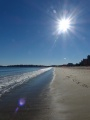 Beach under Bright Sun