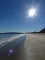 Beach under Bright Sun