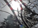 Sun-Bleached Crystals