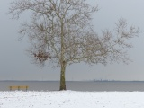 Delaware Shoreline