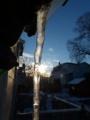 Sunlit Icicle