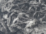 Curving Ice Pattern