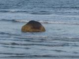 Boulder in the Waves