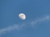 Gibbous Moon over Contrail