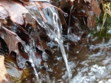 Leaf Waterfall