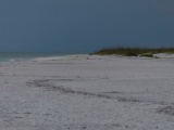 Overcast Twilight on the Beach