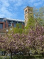 Church in Spring