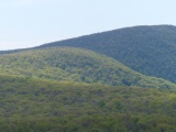 Rolling Hillside