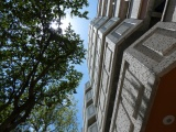 Tree and Facade