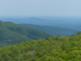 Green in the Appalachians