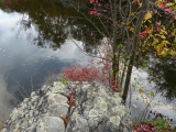 Outcrop on the River