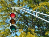 Signals in Autumn