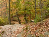 Hemlock Gorge