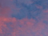 Mottled Pink Clouds