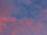 Mottled Pink Clouds